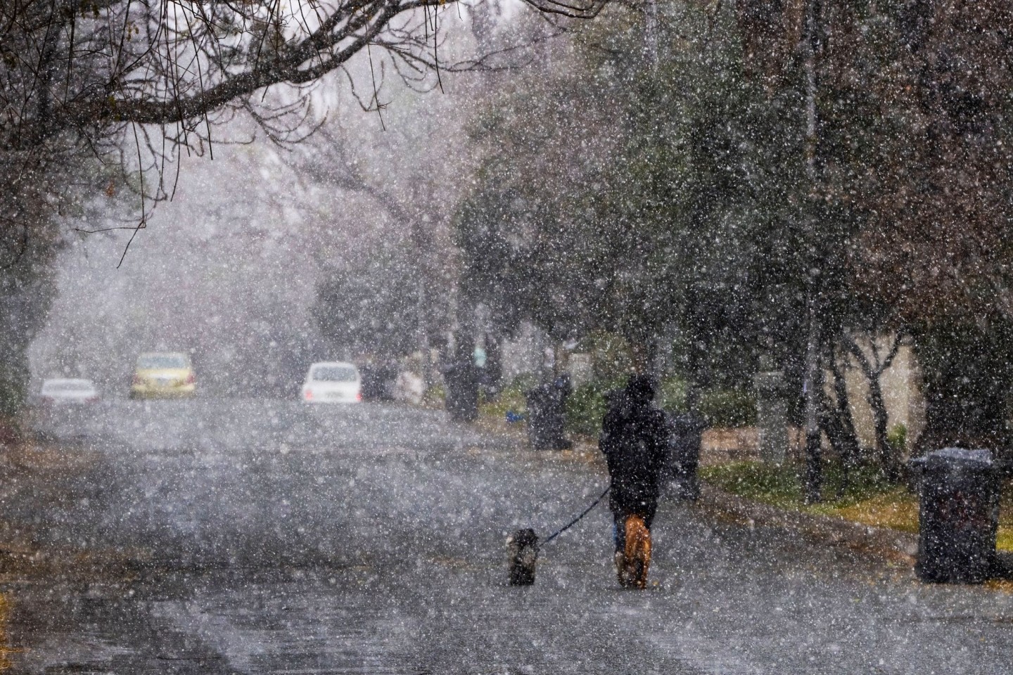 Kommt nicht oft vor: Ein Schneesturm in Johannesburg in Südafrika.