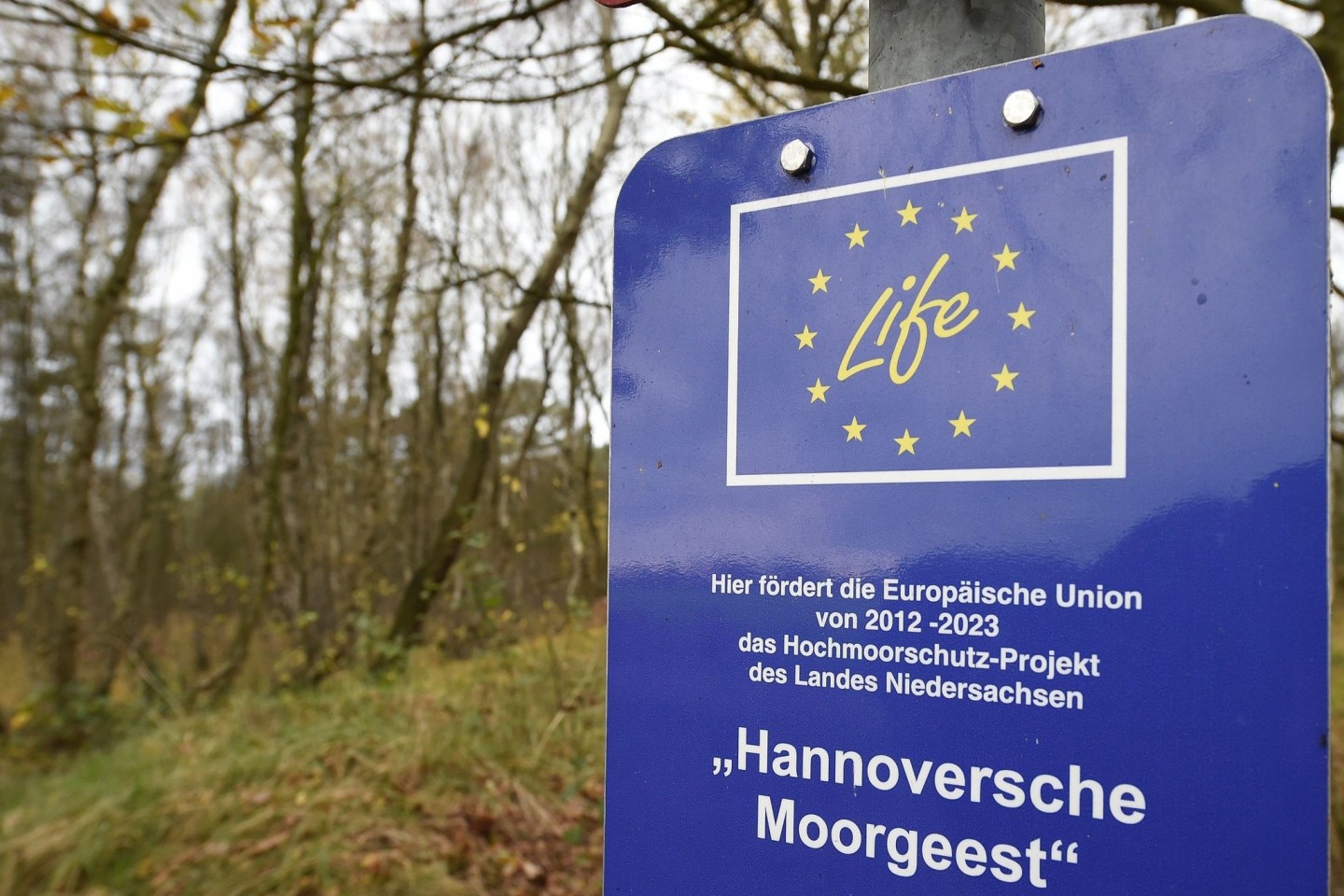 Das Hochmoorschutz-Projekt des Landes Niedersachsen «Hannoversche Moorgeest» im Naturschutzgebiet Bissendorfer Moor.