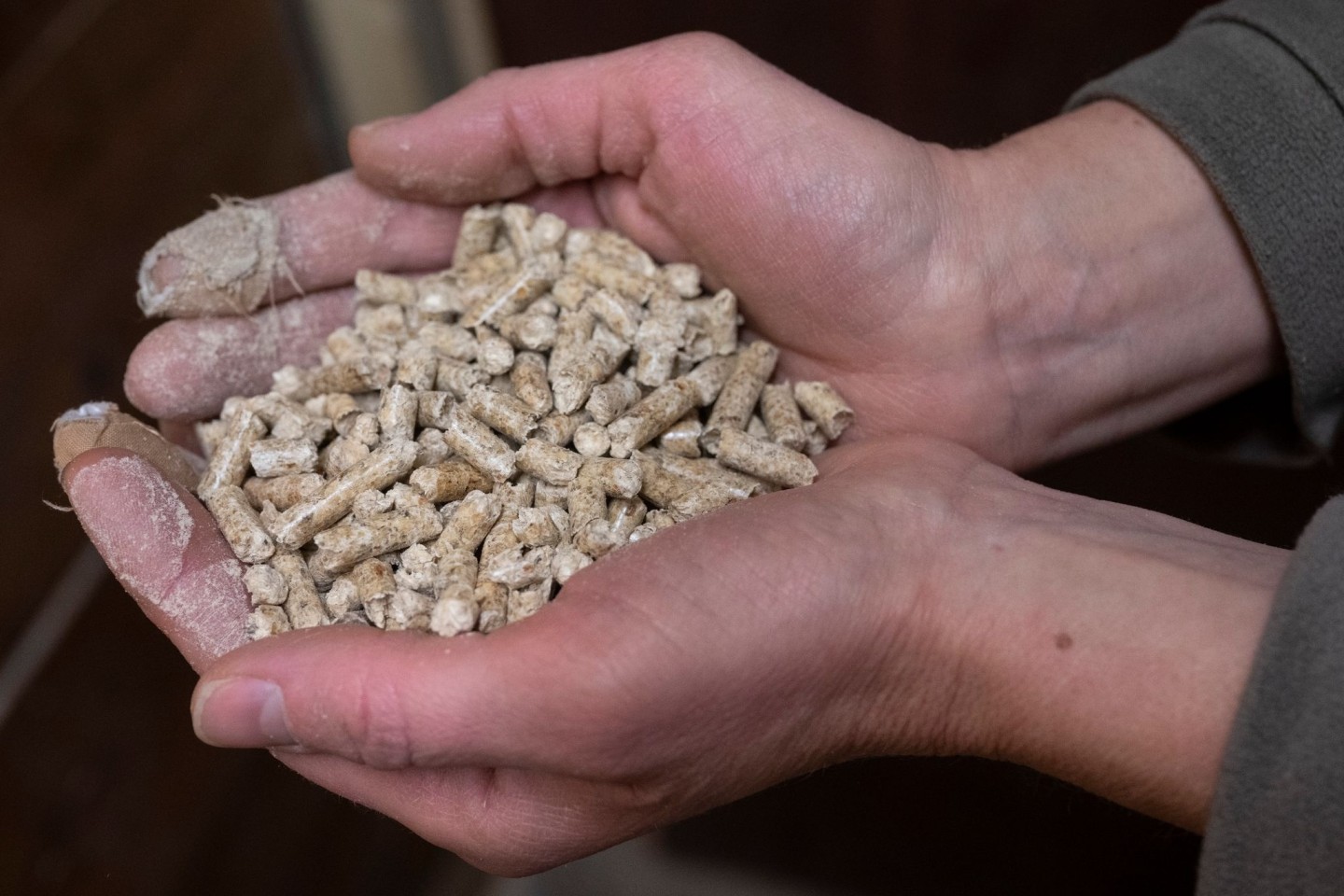 Pelletöfen und Pelletkessel gelten in der Regel als weniger belastend für die Umwelt als andere Holzverbrennung.