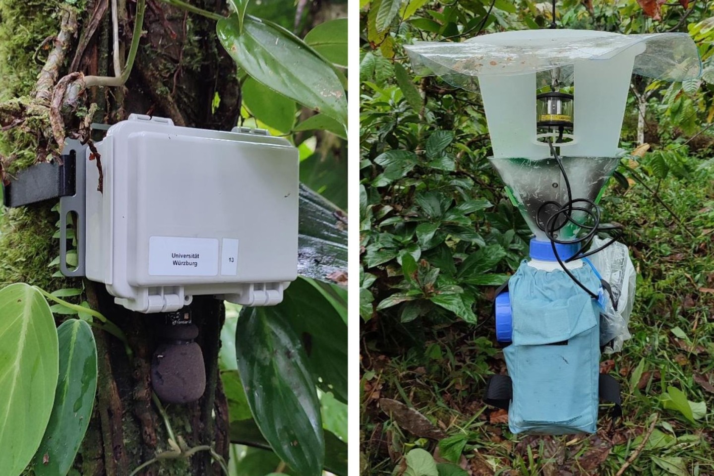 Soundrekorder (l) und automatische Lichtfalle zur Erfassung von Tierstimmen und Nachtinsekten.