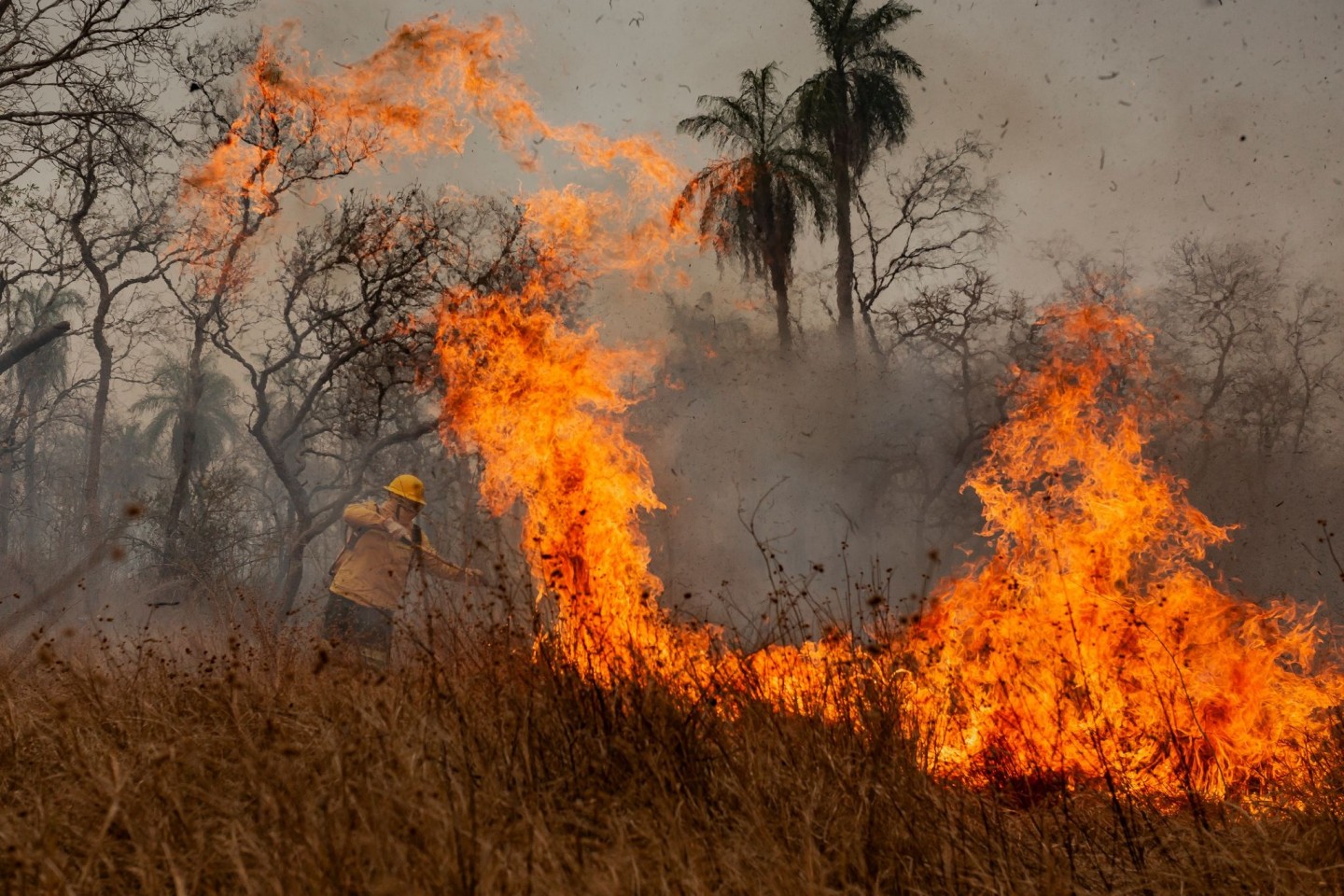 Das Feuer richtet Verwüstung in der gesamten Region an.