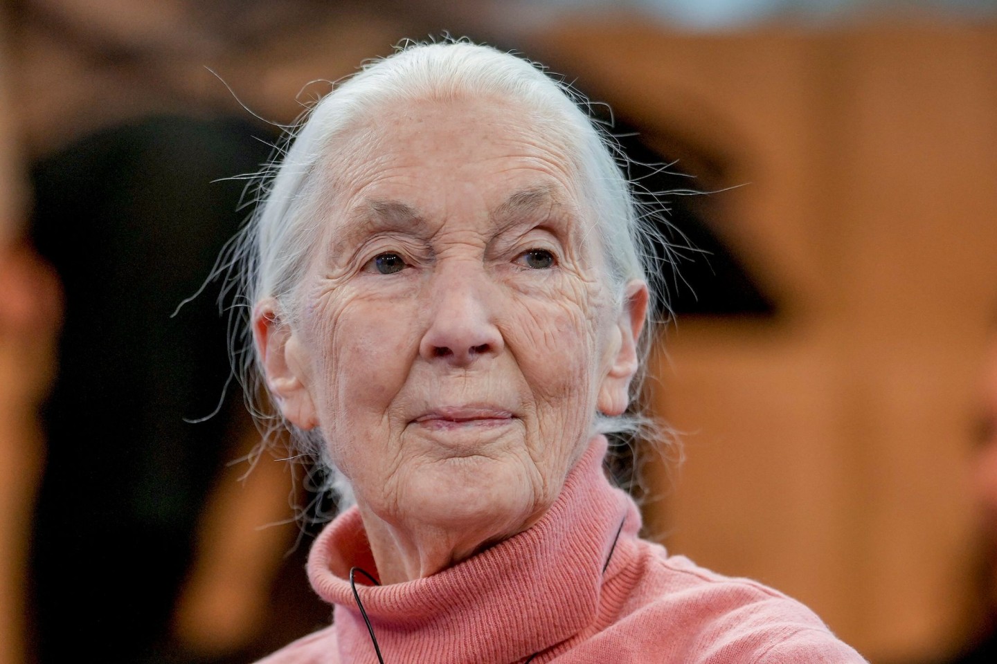 Primatenforscherin und Anthropologin Jane Goodall feiert ihren 90. Geburtstag.