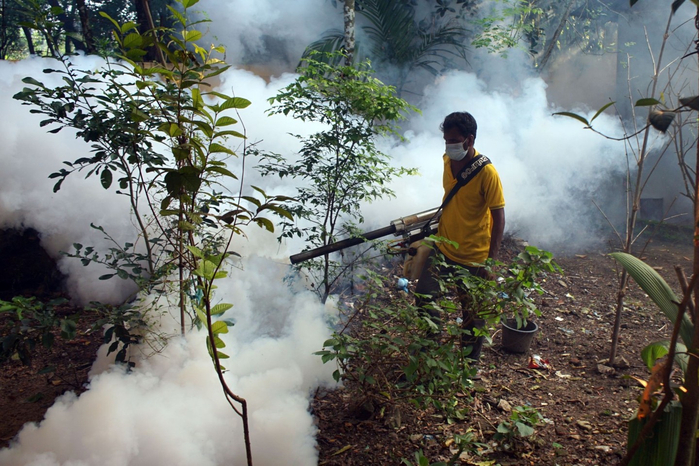 Aufgrund der vielen Dengue-Fieber-Fälle werden in den Straßen von Bangladesch Mittel versprüht, um die Aedes-Stechmücken zu töten.