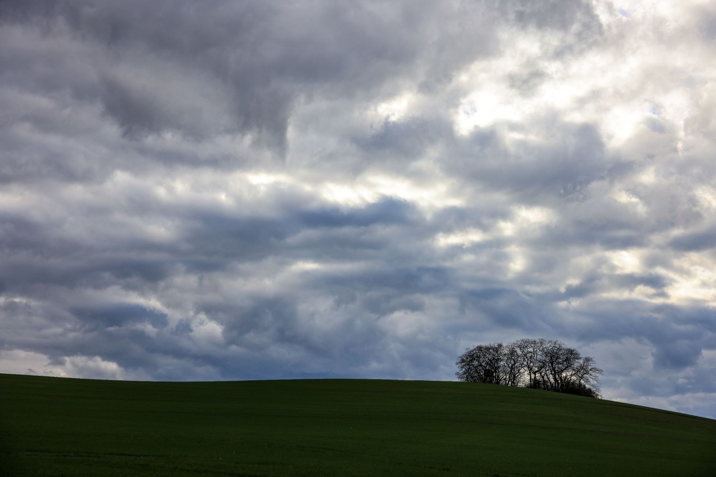 Wolken ziehen bei viel Wind über einen Hügel bei Peterberg in Sachsen-Anhalt. «Der Beginn des Februars ist eine Jahreszeit, an dem der Winter gerne seinen Höhepunkt erreicht. Davon ist i...