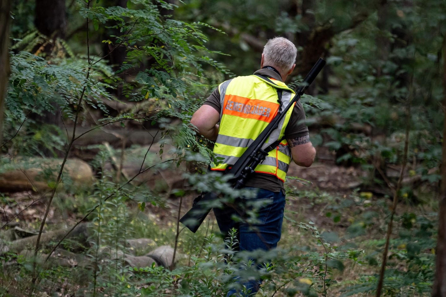 Ein Gemeindejäger durchsucht im Bereich der südlichen Landesgrenze von Berlin den Wald.