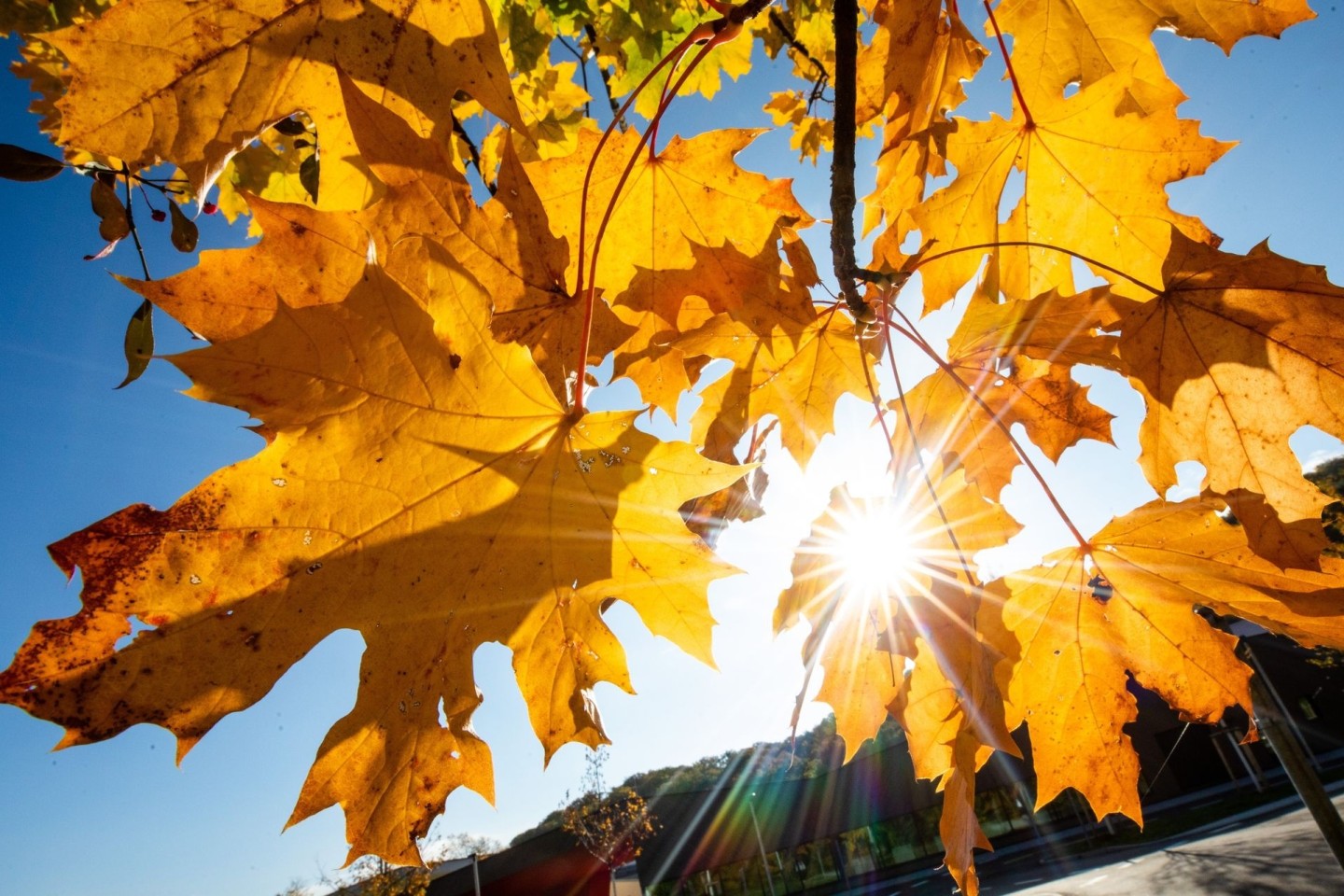 Der Oktober war so warm wie selten zuvor.