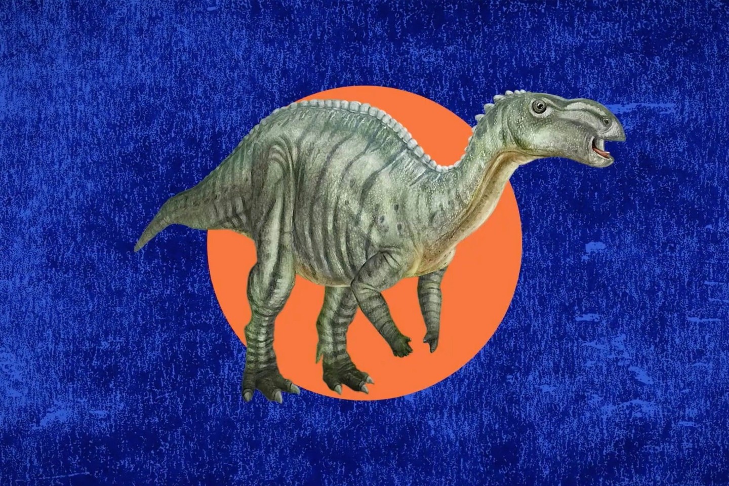 Eine Illustration des Dinosauriers Muttaburrasaurus langdoni, der zum fossilen Wahrzeichen des australischen Bundesstaates Queensland gewählt wurde.