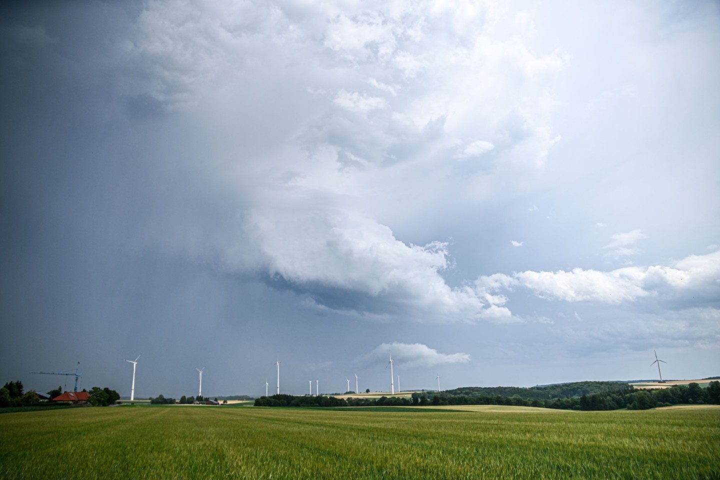 Eine Regenfront mit dunklen Wolken hinter einem Gerstenfeld. (Symbolbild)