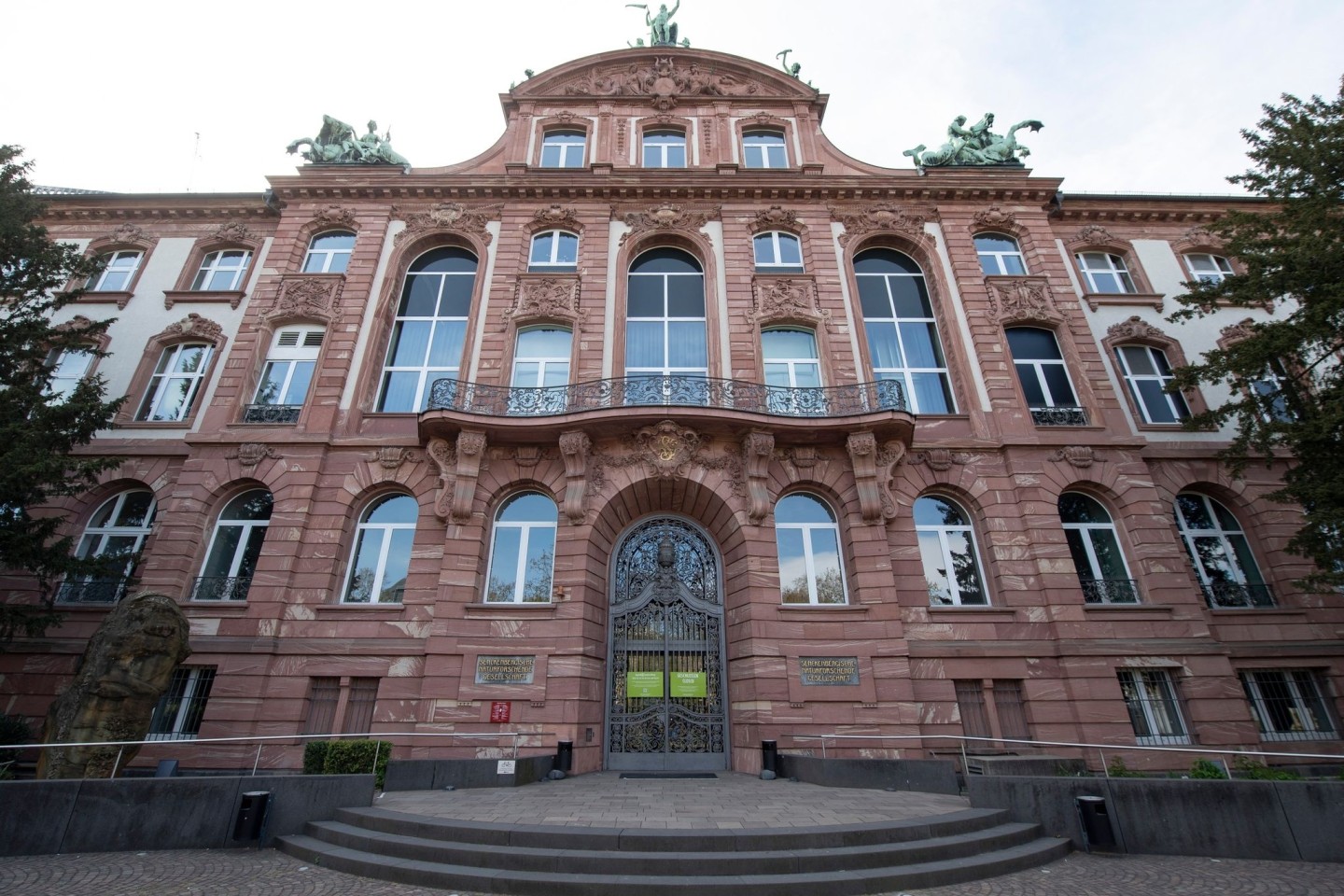 Das Senckenberg Naturmuseum in Frankfurt am Main (Archivbild).