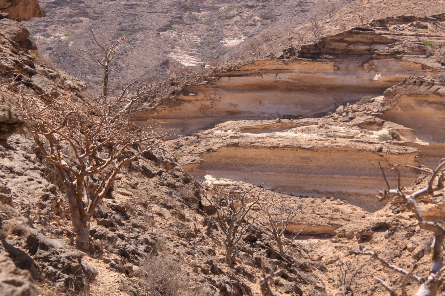 Die Gebirge im Oman ziehen viele Wander-Touristen an