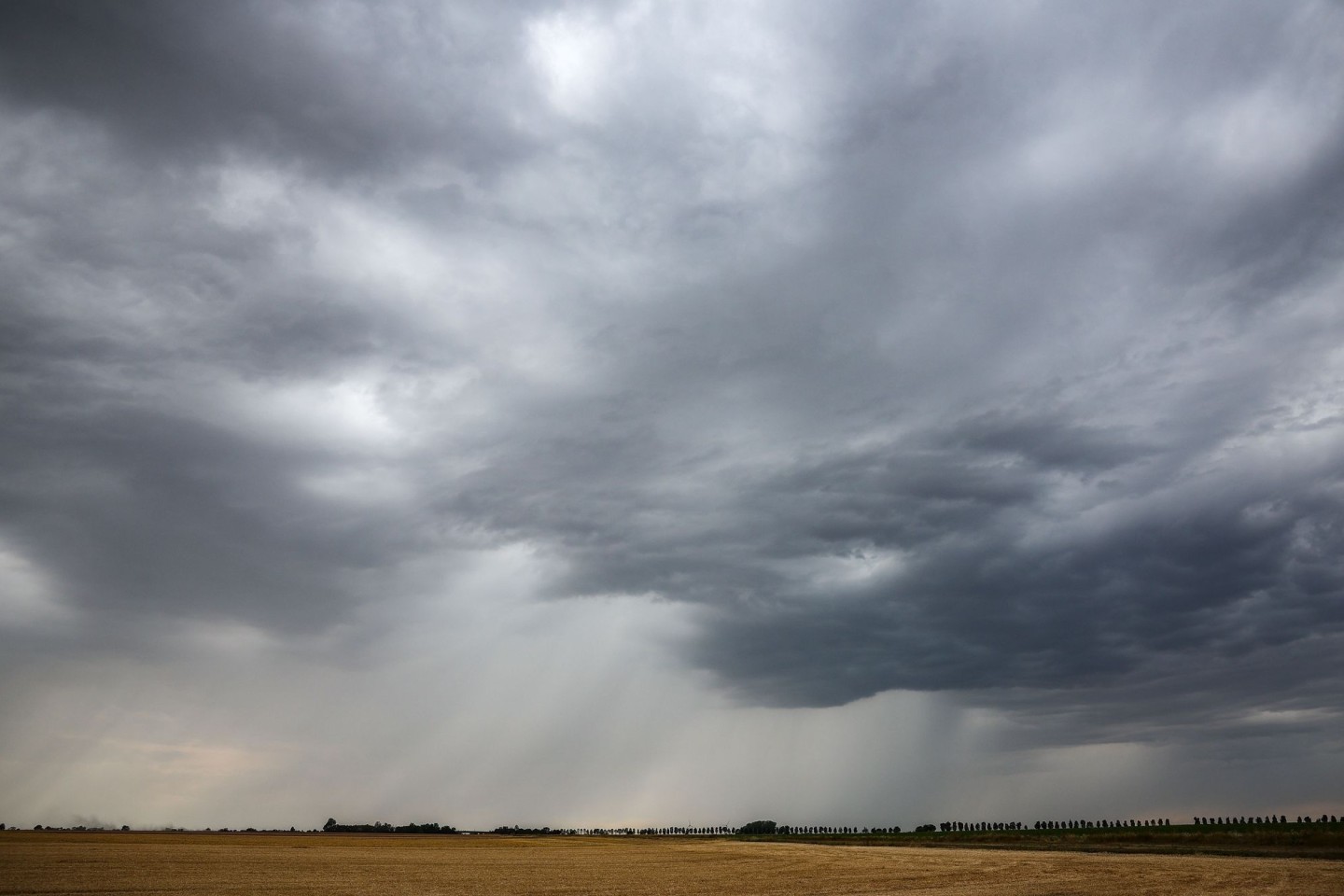 Eine Regenfront zieht über ein Getreidefeld hinweg.