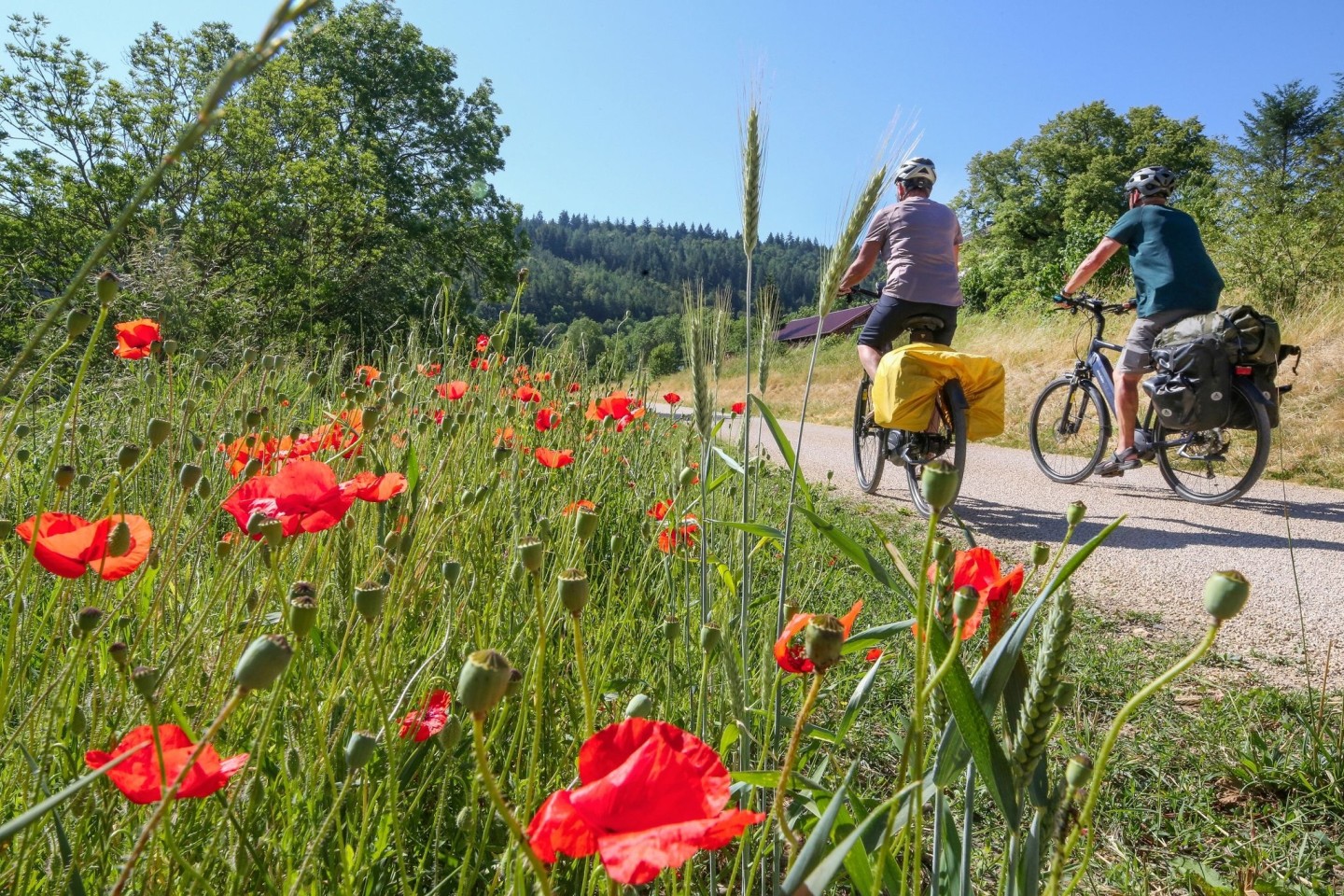 Radfahrer bei Gutenstein im Donautal. Nach den warmen Temperaturen der letzten Tage soll es etwas kühler werden.